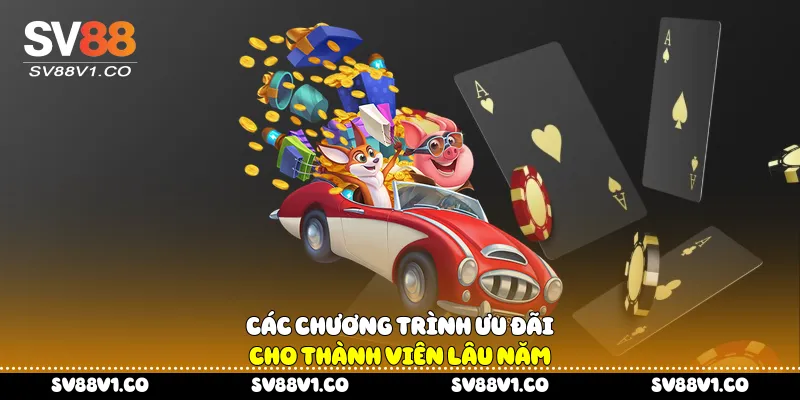 Các chương trình ưu đãi cho thành viên lâu năm