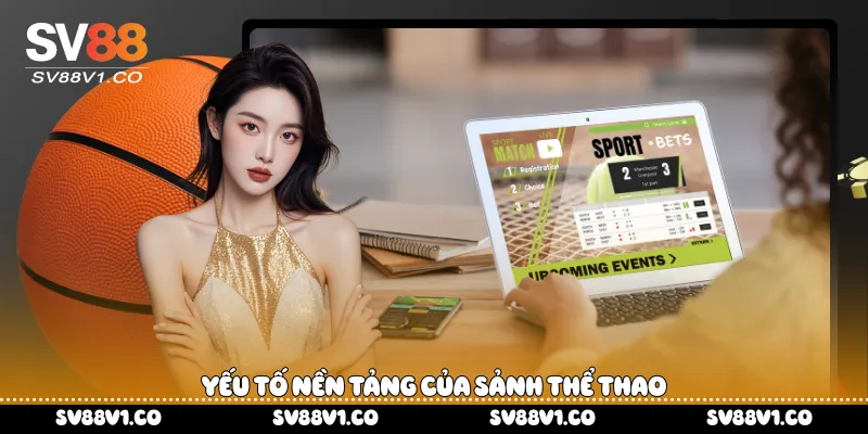 Yếu tố nền tảng của sảnh thể thao