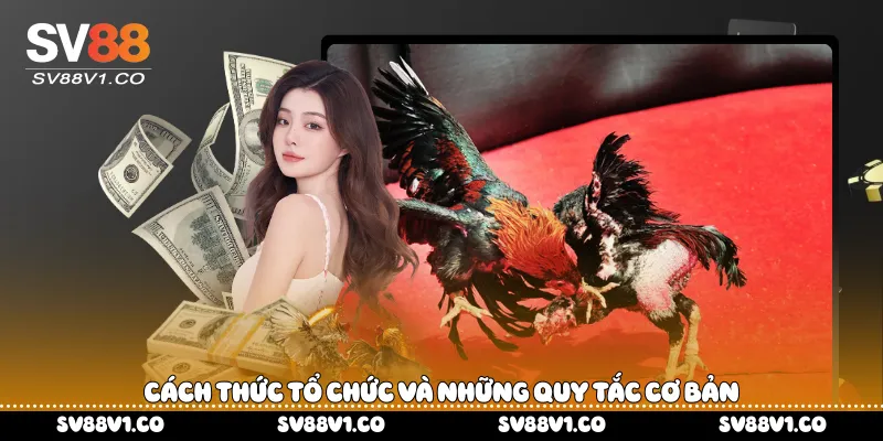 Cách thức tổ chức và những quy tắc cơ bản 