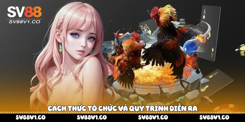 Cách thức tổ chức và quy trình diễn ra