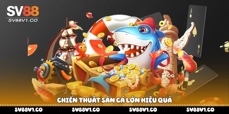 Chiến thuật săn cá lớn hiệu quả 