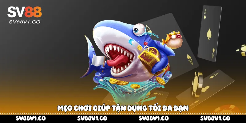 Mẹo chơi giúp tận dụng tối đa đạn 