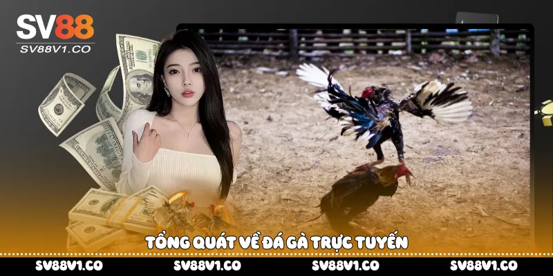 Tổng quát về đá gà trực tuyến