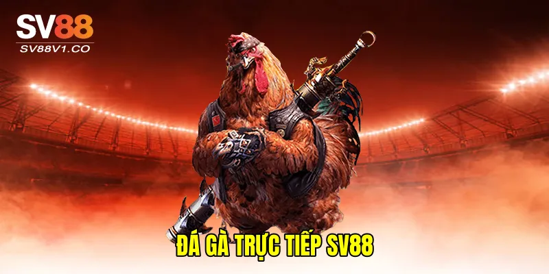 Đá Gà Trực Tiếp SV88